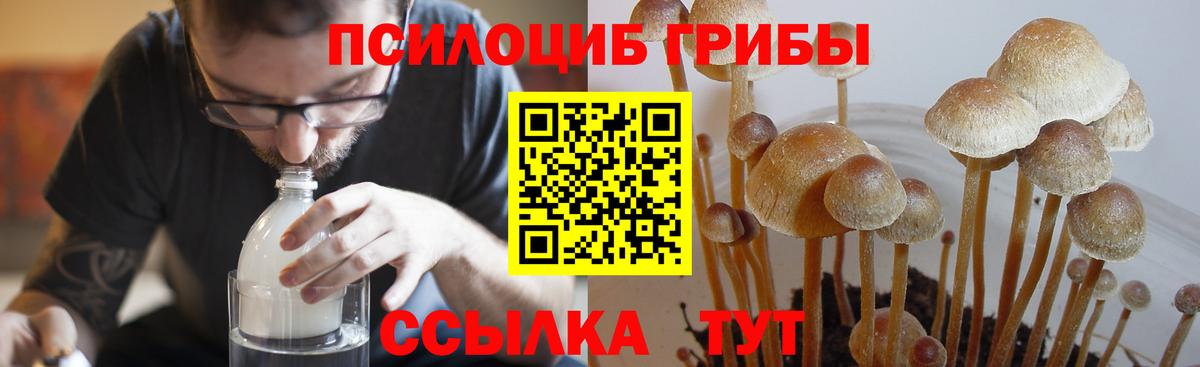 Галлюциногенные грибы мухоморы  Вход с VPN  Острогожск  Галлюциногенные грибы ЛСД 